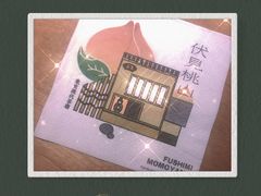 -伏小桃(明瓦廊店)