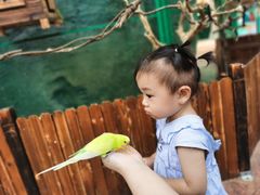 -杭州开元森泊度假乐园