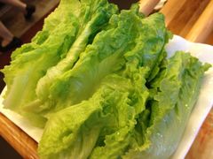 生菜-老码头火锅(玉林店)