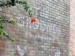 -The Grounds of Alexandria