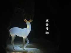 -深圳珠宝博物馆