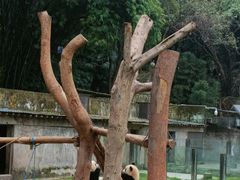 -重庆动物园·东二门售票处