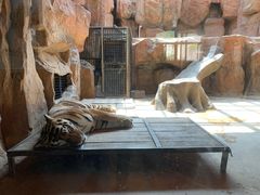 -鄂尔多斯野生动物园