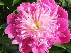 -长春公园(普阳街道)