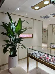 -珂兰钻石(美美2购物中心店)