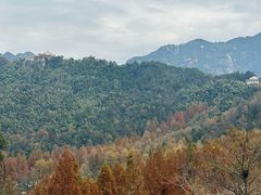 -九华山风景区