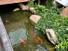 -大连罗马假日酒店温泉