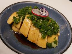 葱油鸡-上海苏宁宝丽嘉酒店·嘉府壹号中餐厅