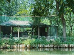 -溱湖国家湿地公园