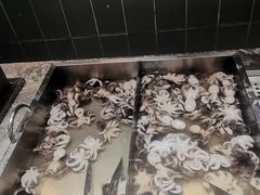 -禾斗海鲜自助(市南银座店)