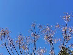 -树山生态村
