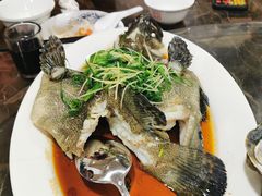 -蚝专家(北滘店)