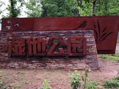 -东郊湿地公园