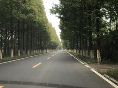 -黄海国家森林公园