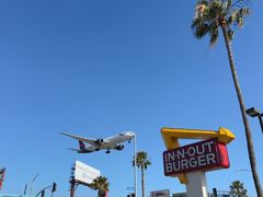 -In-N-Out Burger(LAX)