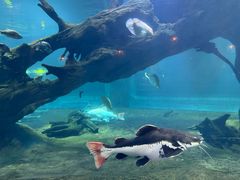 -华夏文旅西安度假区