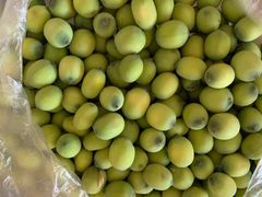 -成都七中(林荫校区)