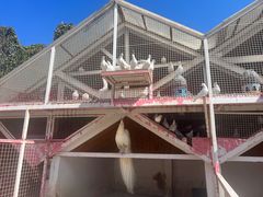 -J Create城市露营咖啡·简餐·宠物(上海动物园店)