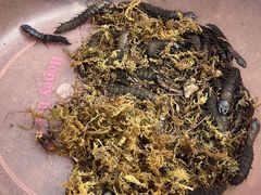 -南坛综合农贸市场