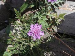 -白草畔自然风景区