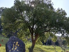 -东海半边山旅游度假区