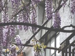 -上海鲁迅故居