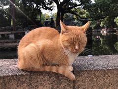 -西园戒幢律寺