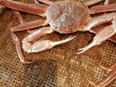 -綱元·海鲜豆捞(明州里店)