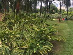 -东风公园