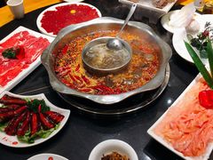 鸳鸯锅-一斗火锅·招财羊毛肚(北温泉九号店)