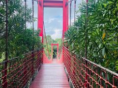 -上海吴淞炮台湾国家湿地公园