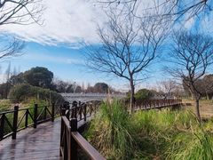 -贡湖湾湿地公园