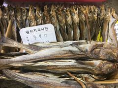 -西归浦每天偶来市场