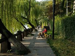 -运河游船(武林门码头)