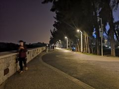 -宝安西湾红树林湿地公园