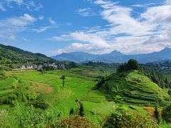 -重庆睡佛山森林公园