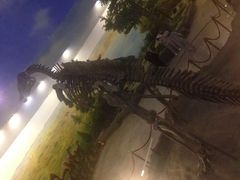 -嘉荫恐龙国家地质公园