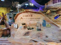 -奇幻萌宠部落(映月湖环宇城店)