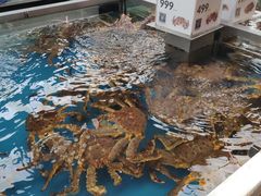 -盒马鲜生(大成店)