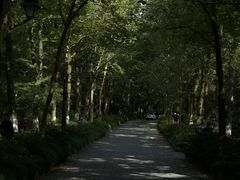 -杭州植物园
