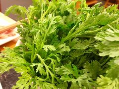 -老码头火锅(玉林店)
