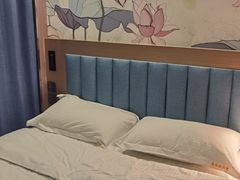 -龙禧盛精品酒店(天津西站店)