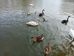 -石家庄市动物园