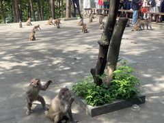 -千岛湖东南湖区