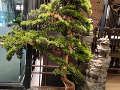 -湊湊火锅·茶憩(东城万达店)