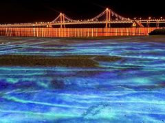 -星海湾跨海大桥