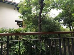 -普吉岛卡塔阿维斯塔诺富特酒店度假村