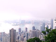 -罗富记粥面专家(摆花街店)