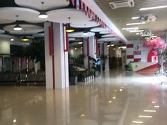 -陕西省小天鹅艺术团