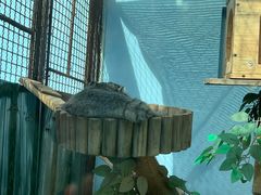 -青藏高原野生动物园